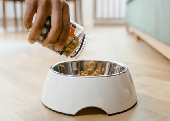 What Wet Dog Food Do Vets Recommend.png